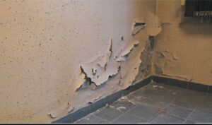 images (3)